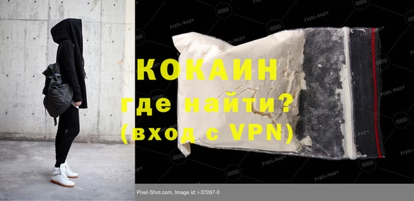прущие грибы Медвежьегорск