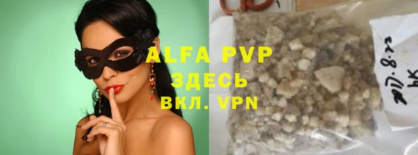прущие грибы Медвежьегорск